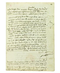Codex über den Vogelflug, Folio 14 recto
